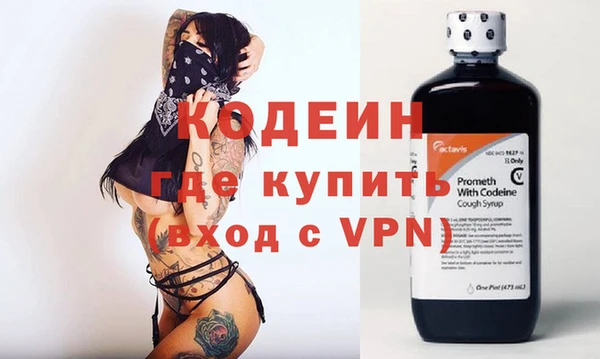 индика Абаза