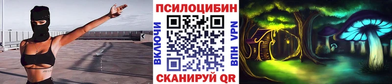 MEGA зеркало  Северодвинск  Псилоцибиновые грибы GOLDEN TEACHER 